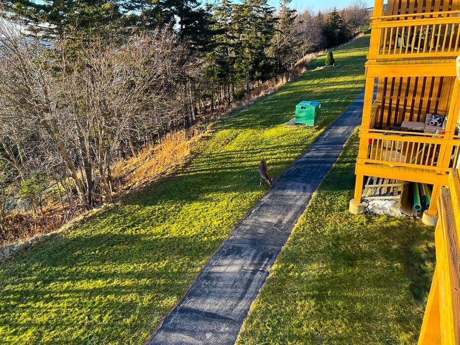 202D Summit - Completely Remodeled Modern Condo In Summit! Snowshoe Exterior photo
