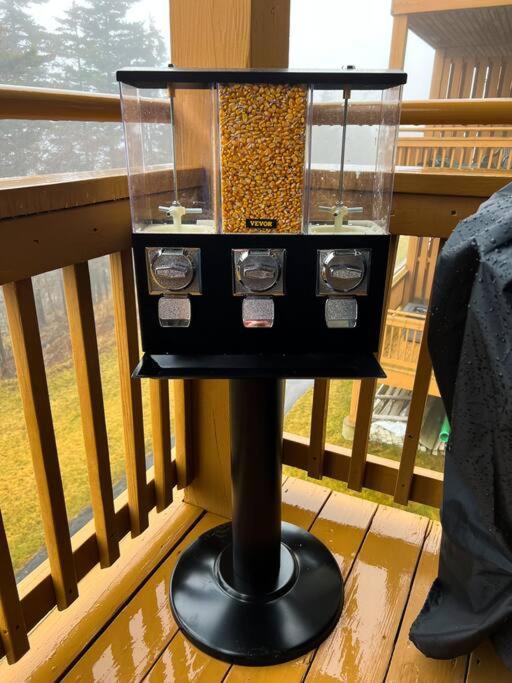 202D Summit - Completely Remodeled Modern Condo In Summit! Snowshoe Exterior photo