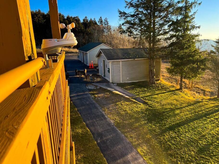 202D Summit - Completely Remodeled Modern Condo In Summit! Snowshoe Exterior photo
